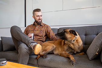 Man relaxing on couch with Belgian Malinois dog