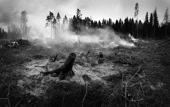 Black and white photo of deforestation and forest fire smoke