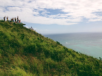 Group of people celebrating on a grassy cliff overlooking the ocean
