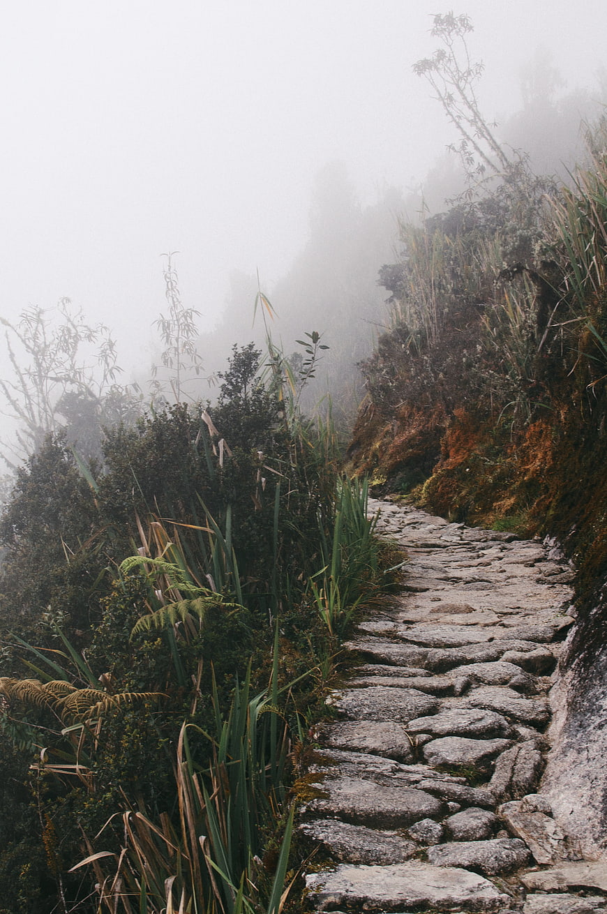 Misty stone path winding through lush mountain highlands