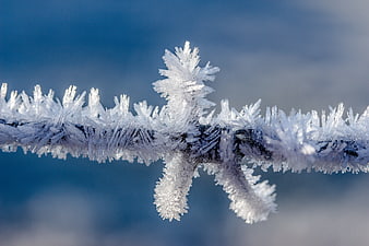 Close-up of intricate frost crystals on a wire against blue sky