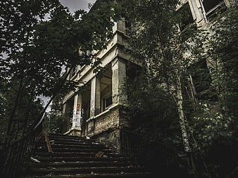 Abandoned Concrete Building Overgrown with Trees