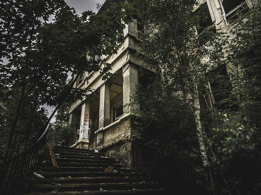 Abandoned Concrete Building Overgrown with Trees