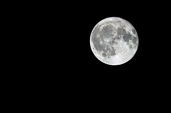 Full Moon Close Up Against Black Night Sky Background