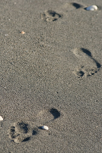 Barefoot footprints in wet sand on a beach