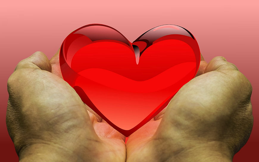 Hands holding a glossy red heart symbolizing love and care