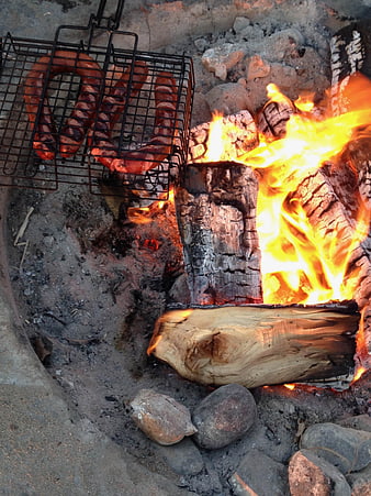 Sausages Grilling on Campfire with Burning Logs