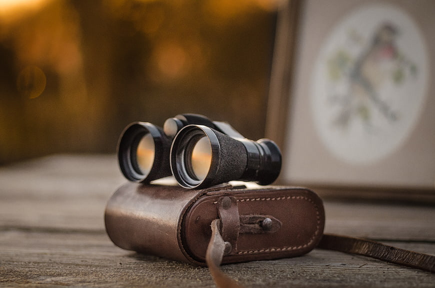 Vintage Binoculars on Leather Case with Bird Illustration