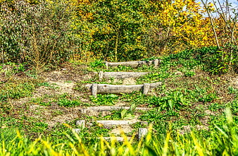 Rustic wooden steps leading up a grassy hill in autumn