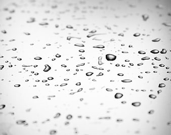 Close-up of water droplets on a white surface