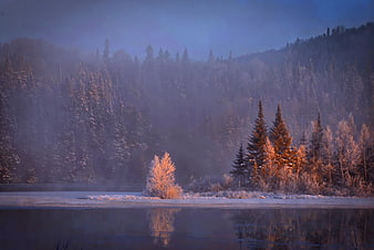 Misty Winter Lake Landscape With Snowy Forest And Reflections