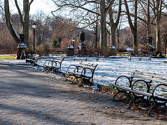 Snowy Park Benches in Winter Landscape