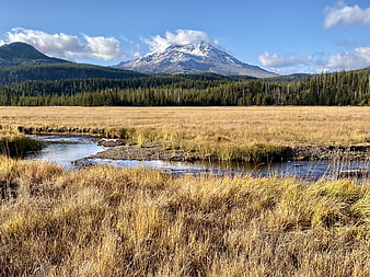 Golden meadow landscape with snow-capped mountain and stream