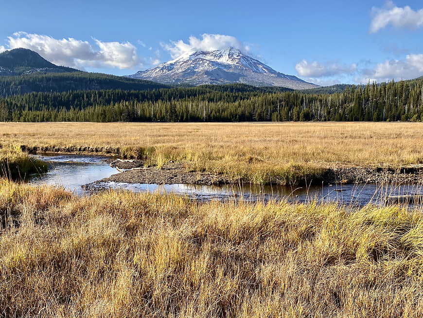 Golden meadow landscape with snow-capped mountain and stream