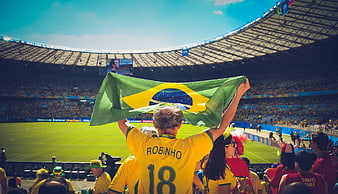 Brazilian Soccer Fan Holding Flag in Stadium