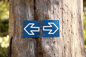 Blue directional arrow signs on weathered wooden post in forest