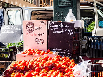 Fresh Canestrino Tomatoes at Urban Farmers Market Stand