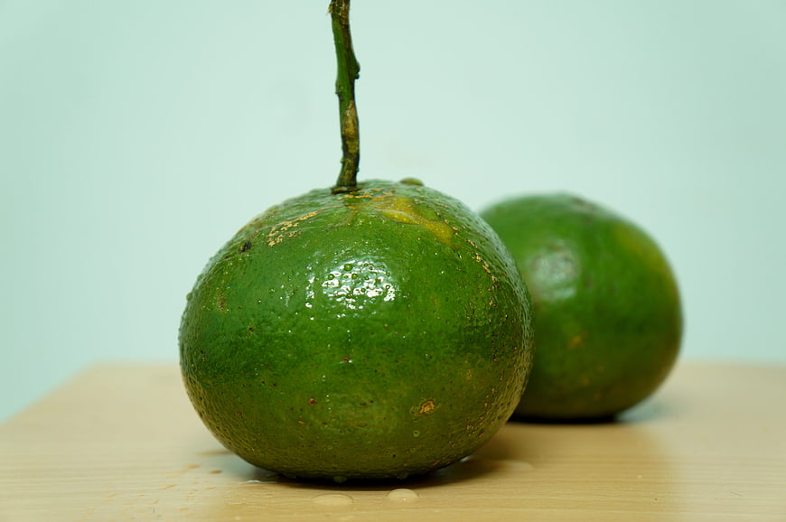 Fresh Green Kumquats on Wooden Board