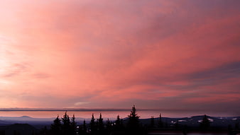 Vibrant Pink Sunset Sky Over Silhouetted Mountain Forest