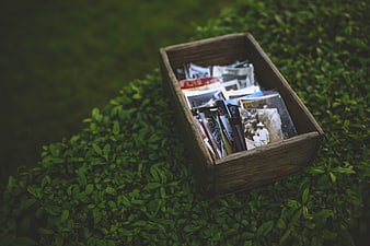 Vintage wooden box with old photographs on green grass