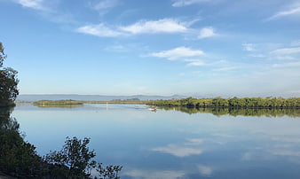 Serene River Landscape with Boat and Mangroves