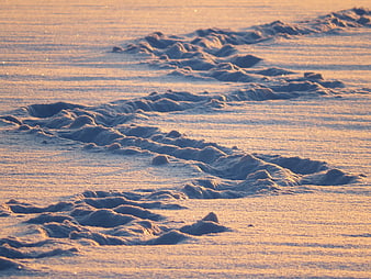 Golden hour footprints in soft beach sand texture