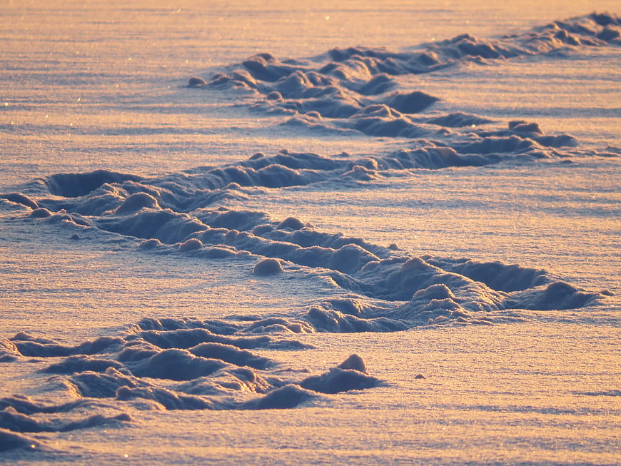 Golden hour footprints in soft beach sand texture