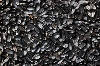 Black Sunflower Seeds Texture Close Up