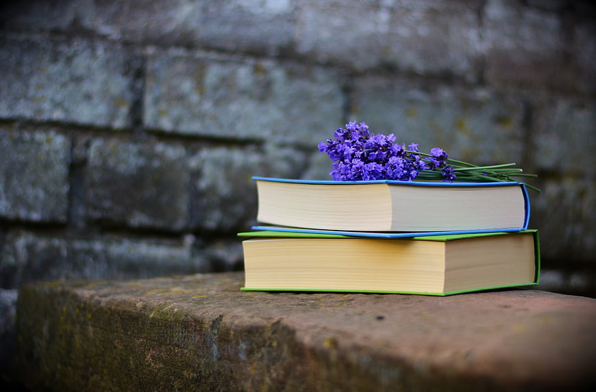 Stack of Books with Lavender on Stone Wall
