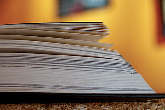 Close-up of open book pages on cork surface