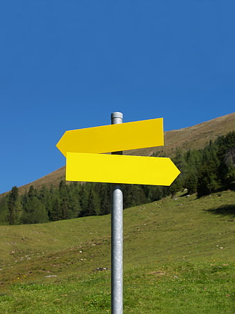 Yellow Directional Signpost in Mountain Meadow