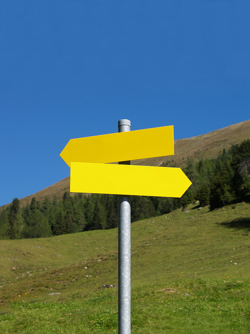Yellow Directional Signpost in Mountain Meadow