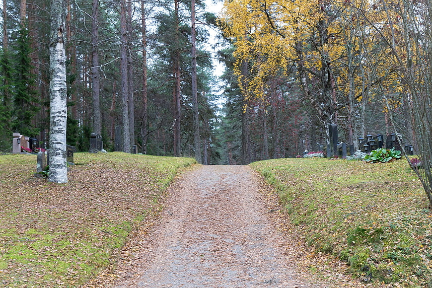 Gravel path through autumn forest cemetery with birch trees