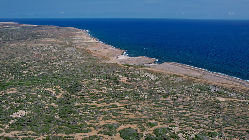Aerial View of Rocky Mediterranean Coastline and Blue Sea
