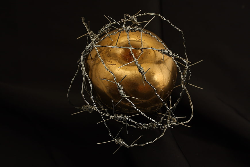 Gold apple wrapped in barbed wire on black background