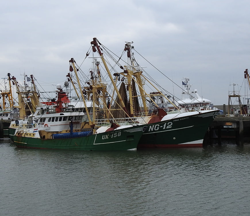 Green fishing trawlers docked in harbor