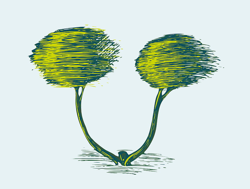 Stylized vector illustration of two windblown trees