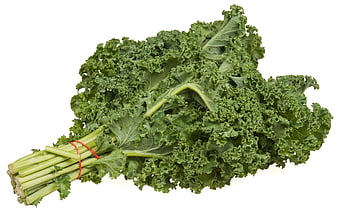 Fresh Curly Kale Bundle Isolated On White Background