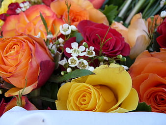 Vibrant bouquet of orange, red, and yellow roses with white filler flowers