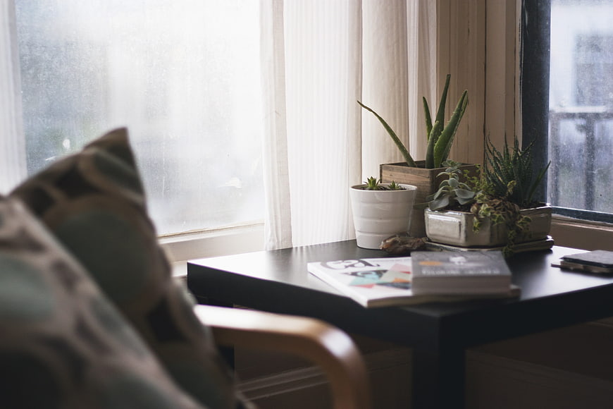 Cozy interior with potted plants on a side table by window