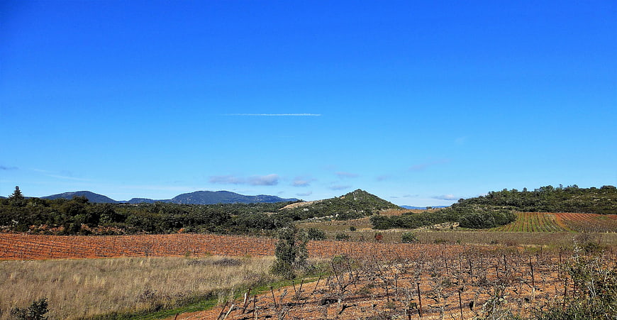 Panoramic View of Dormant Vineyard and Rolling Hills Under Blue Sky