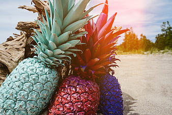 Colorful Painted Pineapples on Beach Driftwood