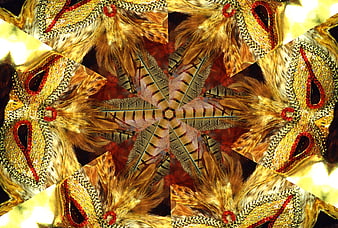 Abstract Gold and Red Feathers Kaleidoscope Pattern