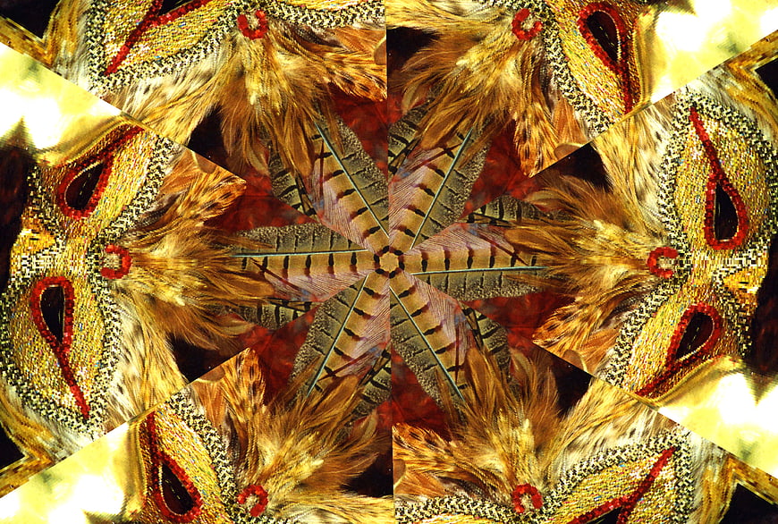Abstract Gold and Red Feathers Kaleidoscope Pattern