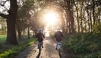 Two children cycling on a sunlit forest path
