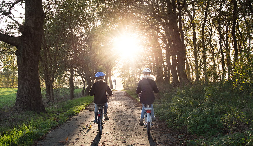 Two children cycling on a sunlit forest path