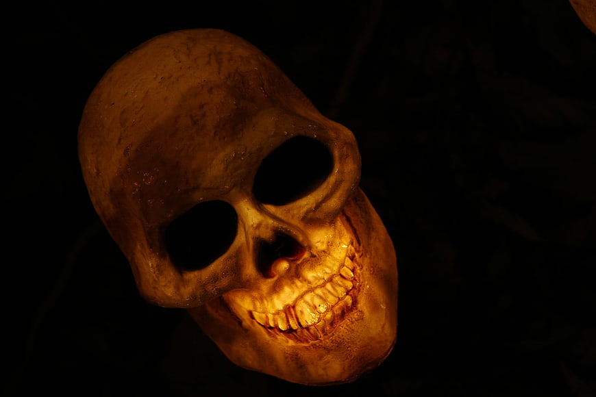 Illuminated Skull Prop on Dark Background
