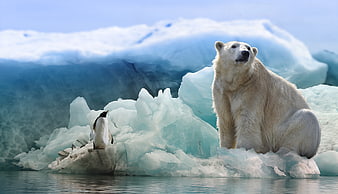 Polar Bear and Penguin on Iceberg in Arctic Landscape