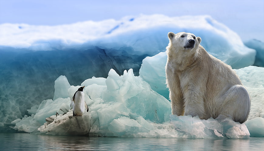 Polar Bear and Penguin on Iceberg in Arctic Landscape