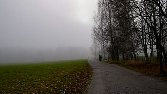 Foggy Autumn Path in Park with Walking Couple